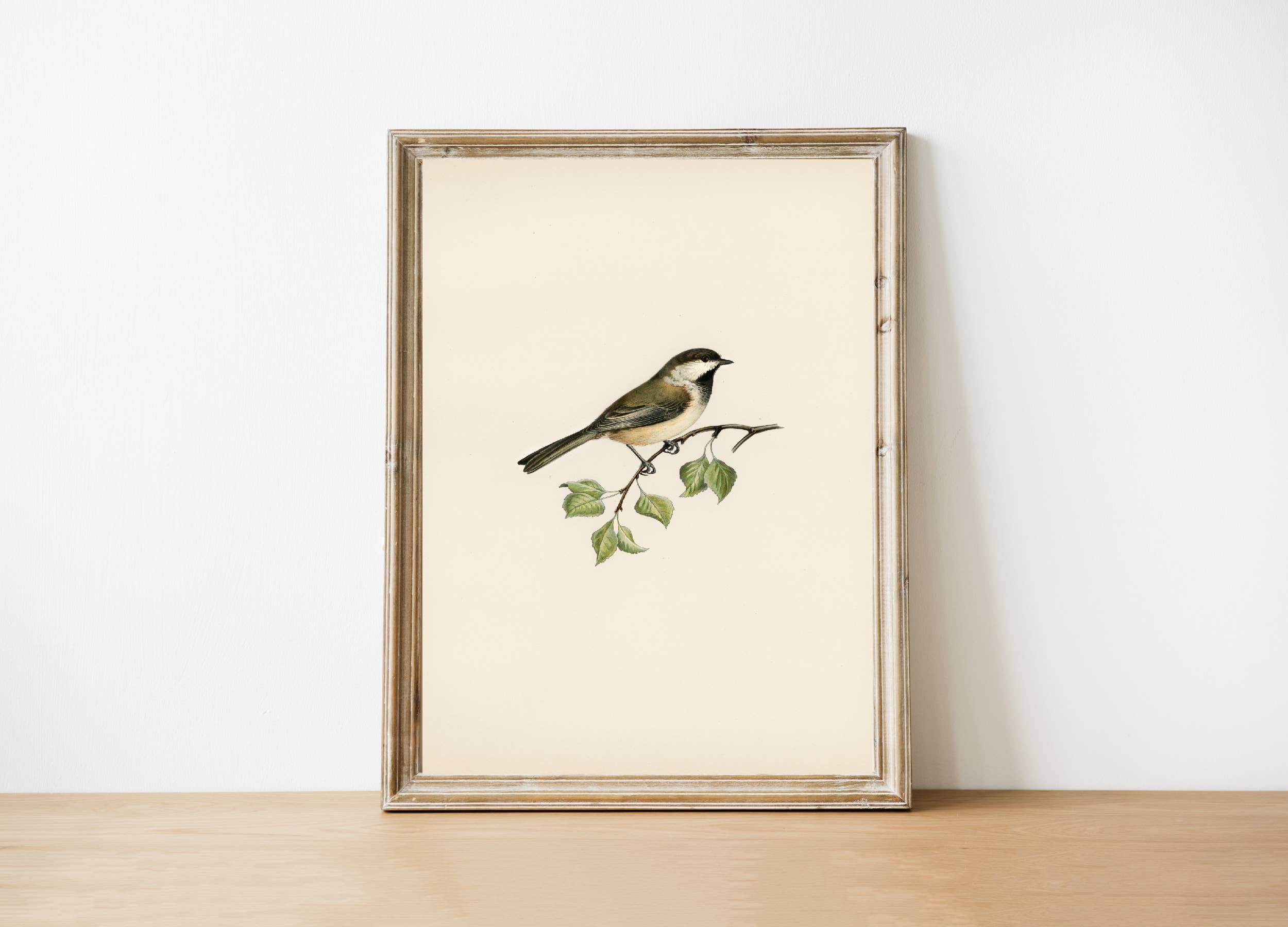 Pink Lemon Decor - Wholesale Art Print - Vintage Art Print3