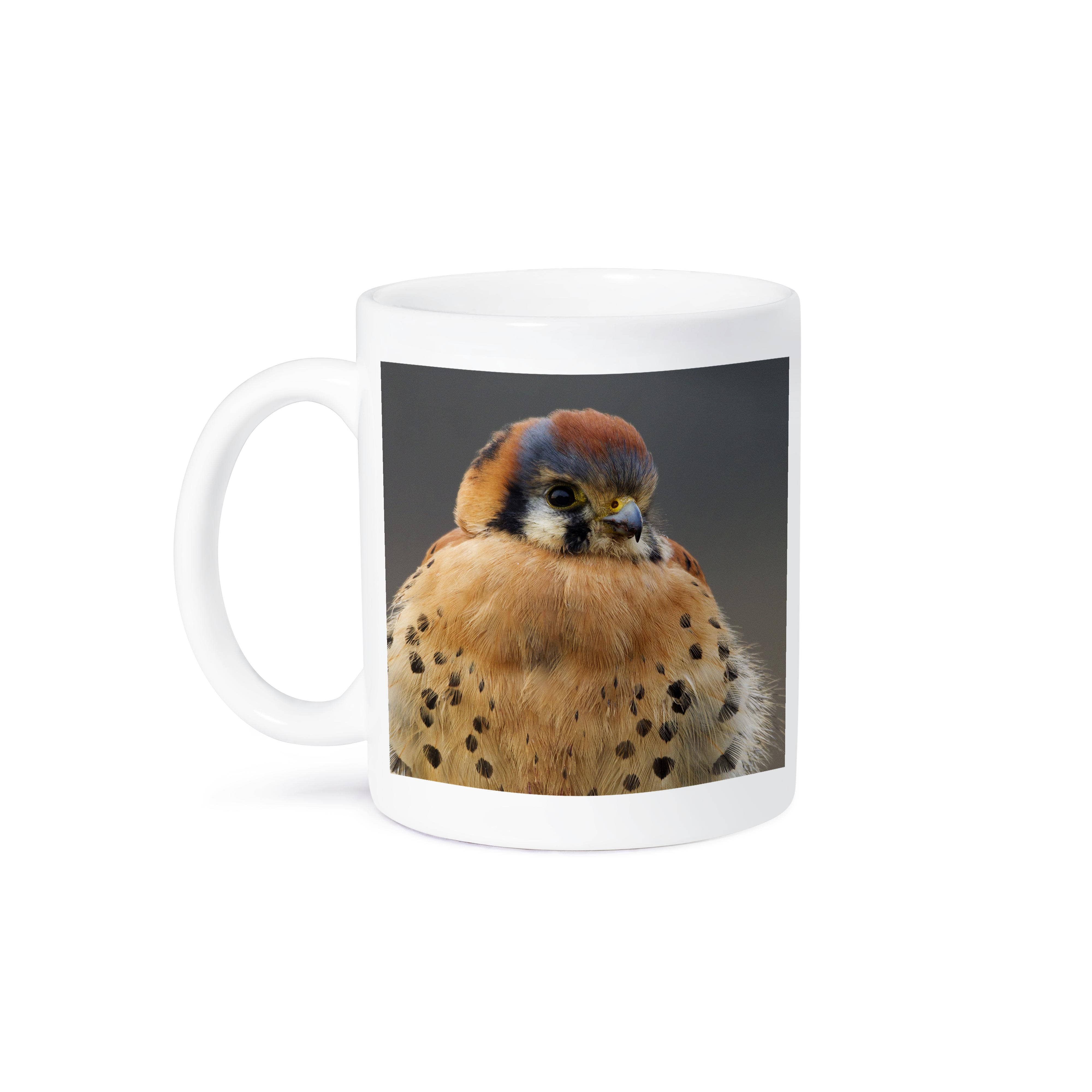 3dRose - Wholesale Coffee Mug - 3dRose, American Kestrel Hawk, Mug8
