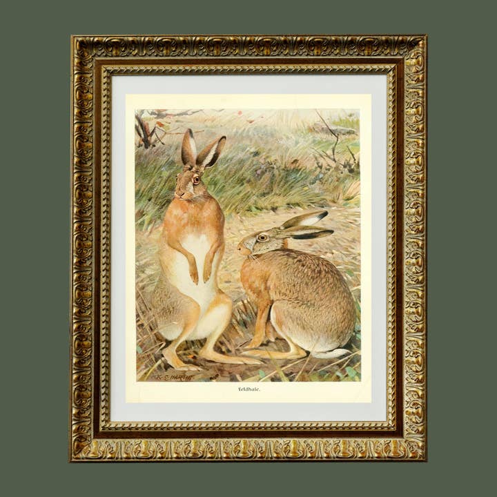 Sea to Skye - Wholesale Art Print - Two Hares in a Field Art Print5