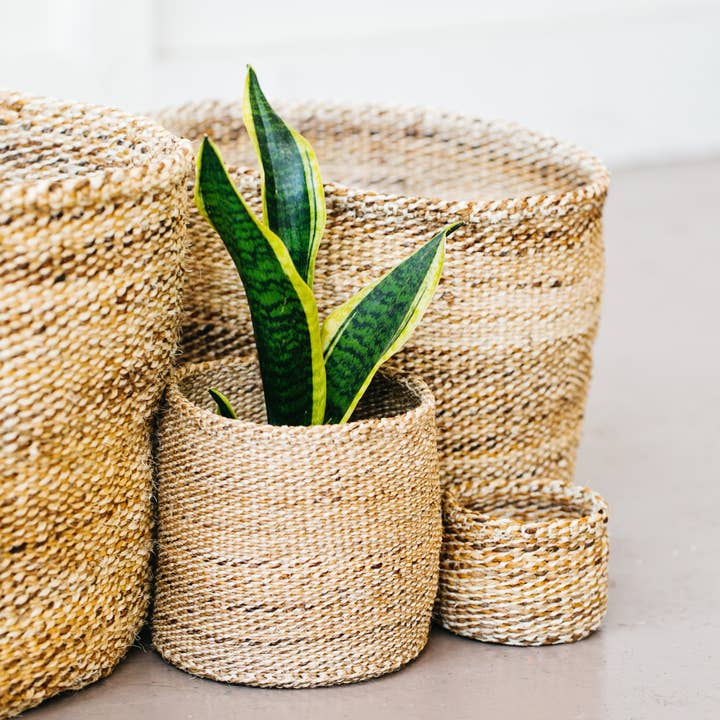 Amsha - Wholesale Basket - Storage Plant Basket: Banana Leaf