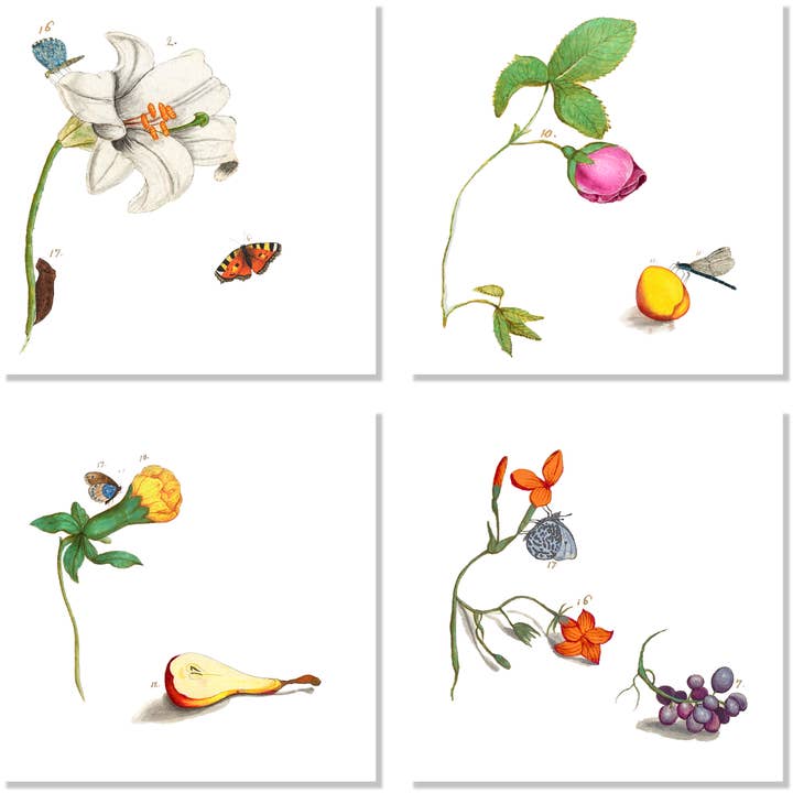 The Napking – wholesale Dinner & cloth napkin – Set of 4 Napkins "Anselmus" 100% Made in Italy