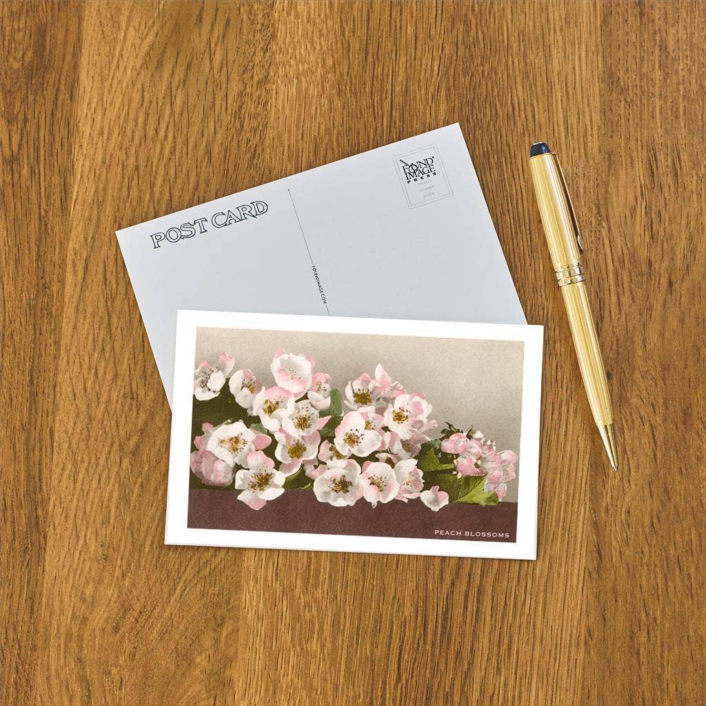 Found Image Press – Postal por atacado – Postal FC-77 Flores de Pessegueiro1