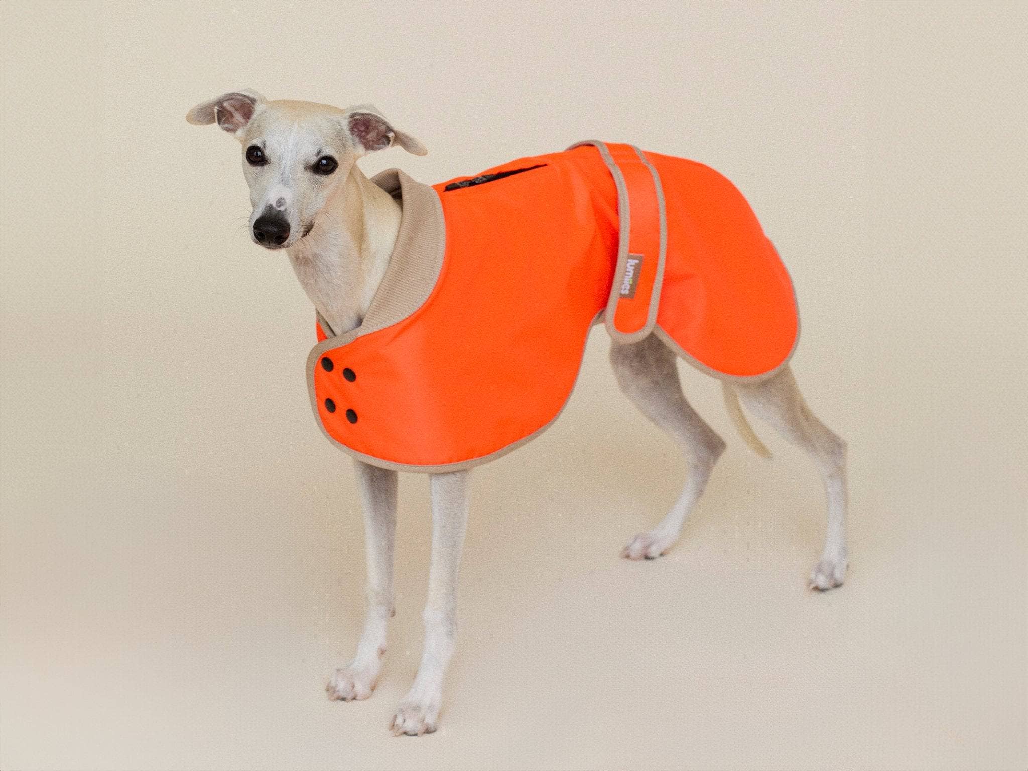 Tigre Mandarine Néon LE MANTEAU DE PLUIE GLOW (coupe classique) en vente sur Faire3