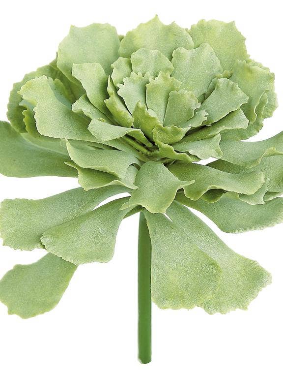 Frosted Ruffled Leaf Succulent, 5.5", Sage for wholesale by Select Artificials, Inc.