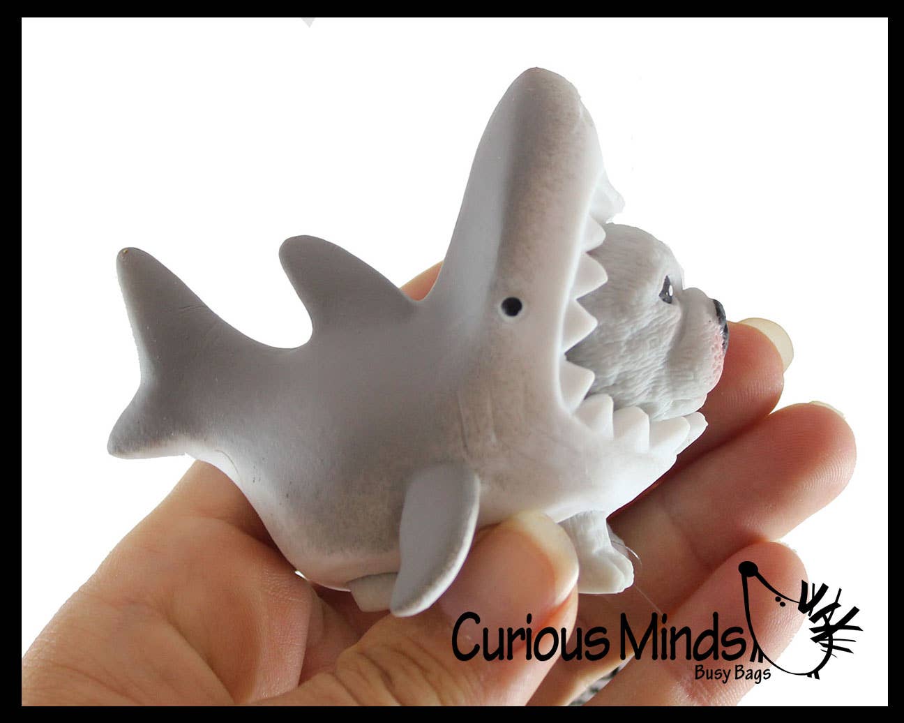 Curious Minds Toys - Wholesale Squishy toy – Kids & Baby - 1 Cute Dog in Costume - Dog Crushed Bead Sand Filled - Doggy7