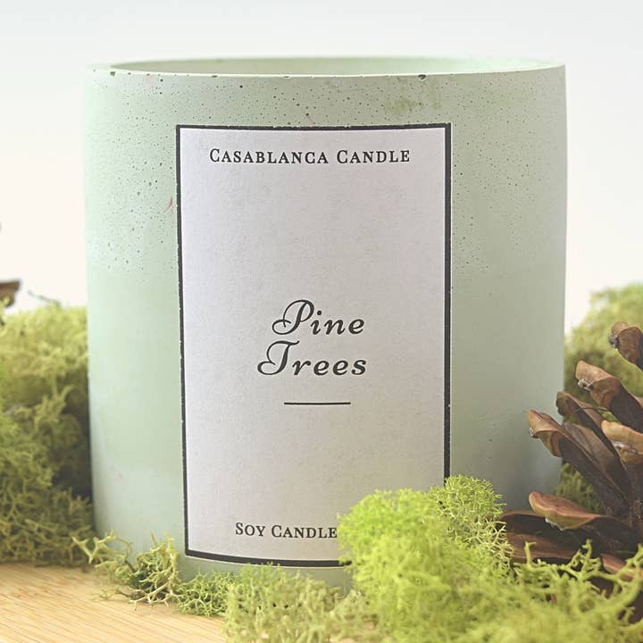 Bougie en béton | Cire de soja coulée à la main | Pins pour la vente par Casablanca Candle