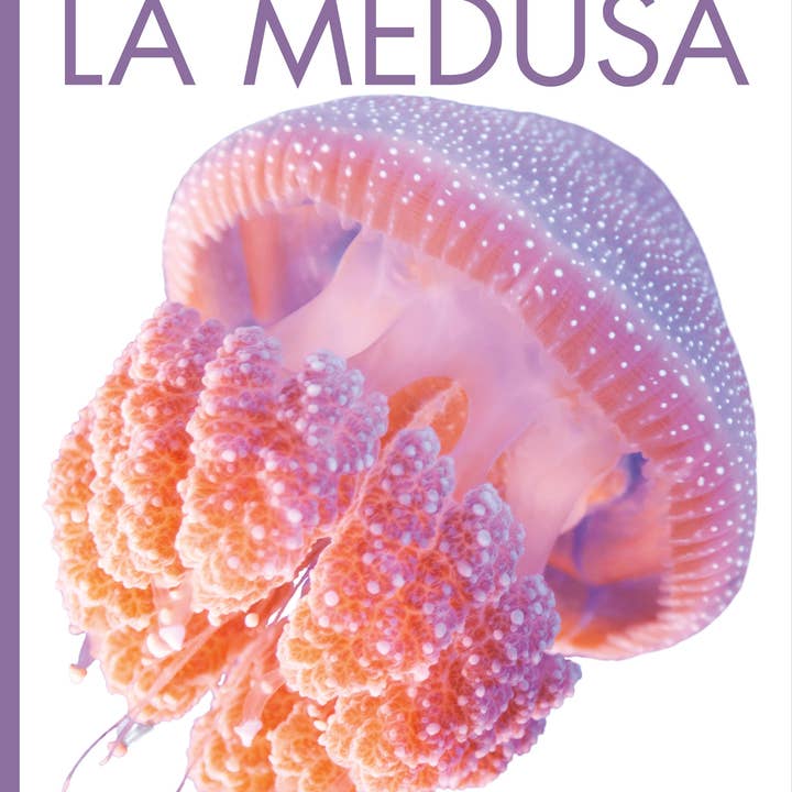 The Creative Company – Engroshandel Bog - Børn – Planeta dyr - Ny udgave: La medusa