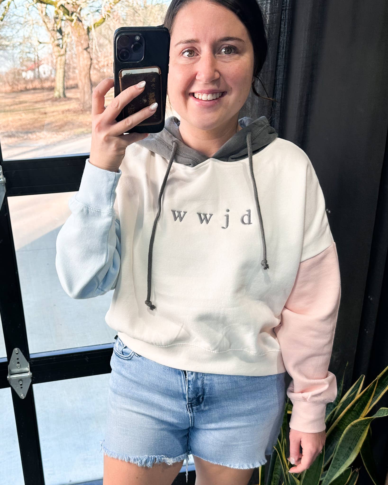 D&E Tees - Wholesale Hoodie - Women's - WWJD Colorblock Hoodie1