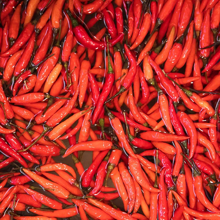 Blake Hill Preserves - Wholesale Jam/Jelly - Fresno & Thai Spicy Chili Jam4