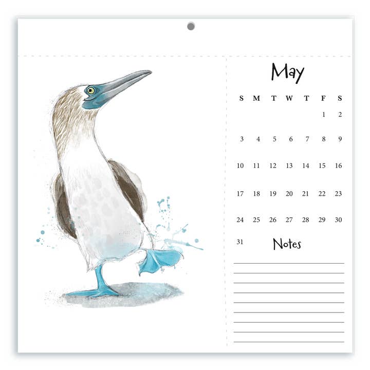 Christy Obalek Illustration - Wholesale Calendar - 2026 Wall Calendar Funny Painted Birds Tear-off Postcard6