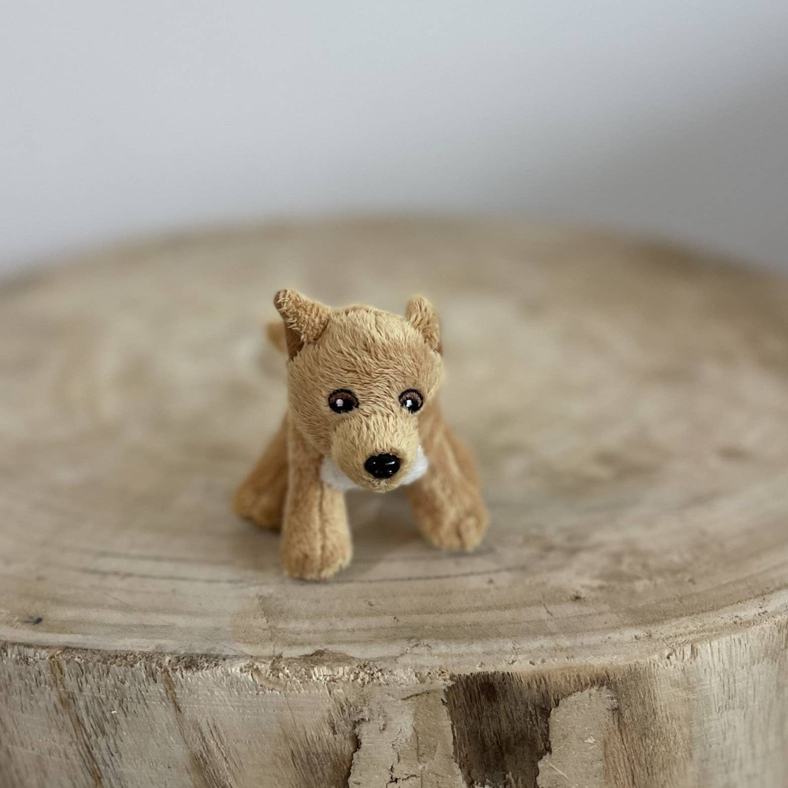 Flat Friends - Vendita all'ingrosso Marionetta da dito - Bambini e neonati - Burattino a dito Dingo