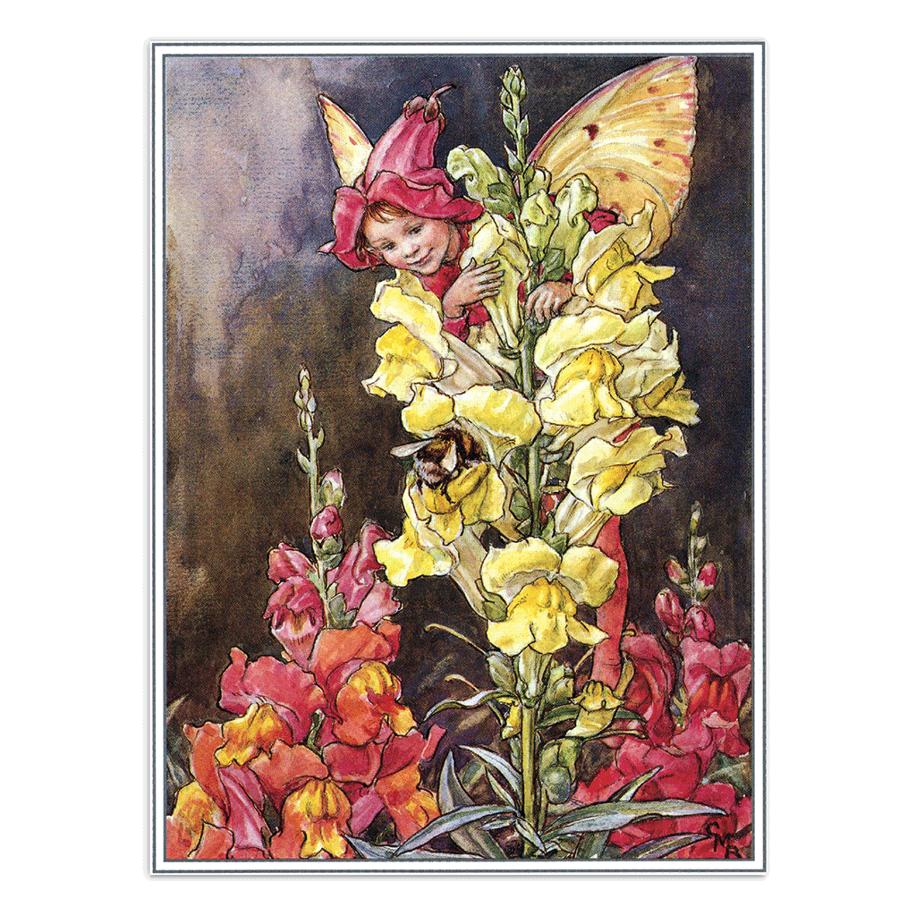 Laughing Elephant – Großhandel Postkarten-Set – Blumenfeen – Alltagliche Postkarten im Set13