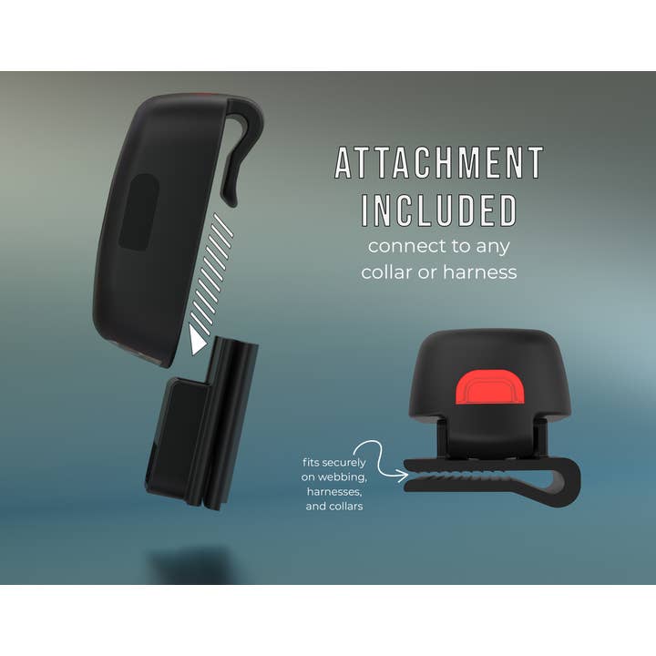 Tug Pet Products - Wholesale Pet Leash - Dog - TUG Rechargeable LED Dog Light for Night Walking - Clip-on S5