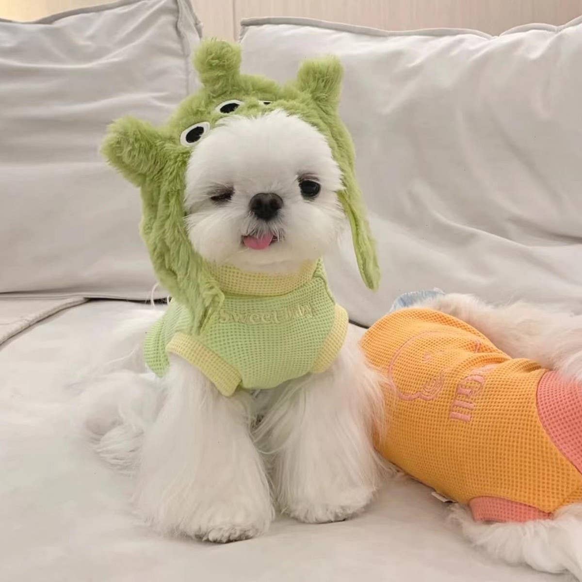 PAWPAWwholesale - Wholesale Pet Hat - Dog - Cute Panda Bear Hat for Cats and Small Dogs_CWAH36954