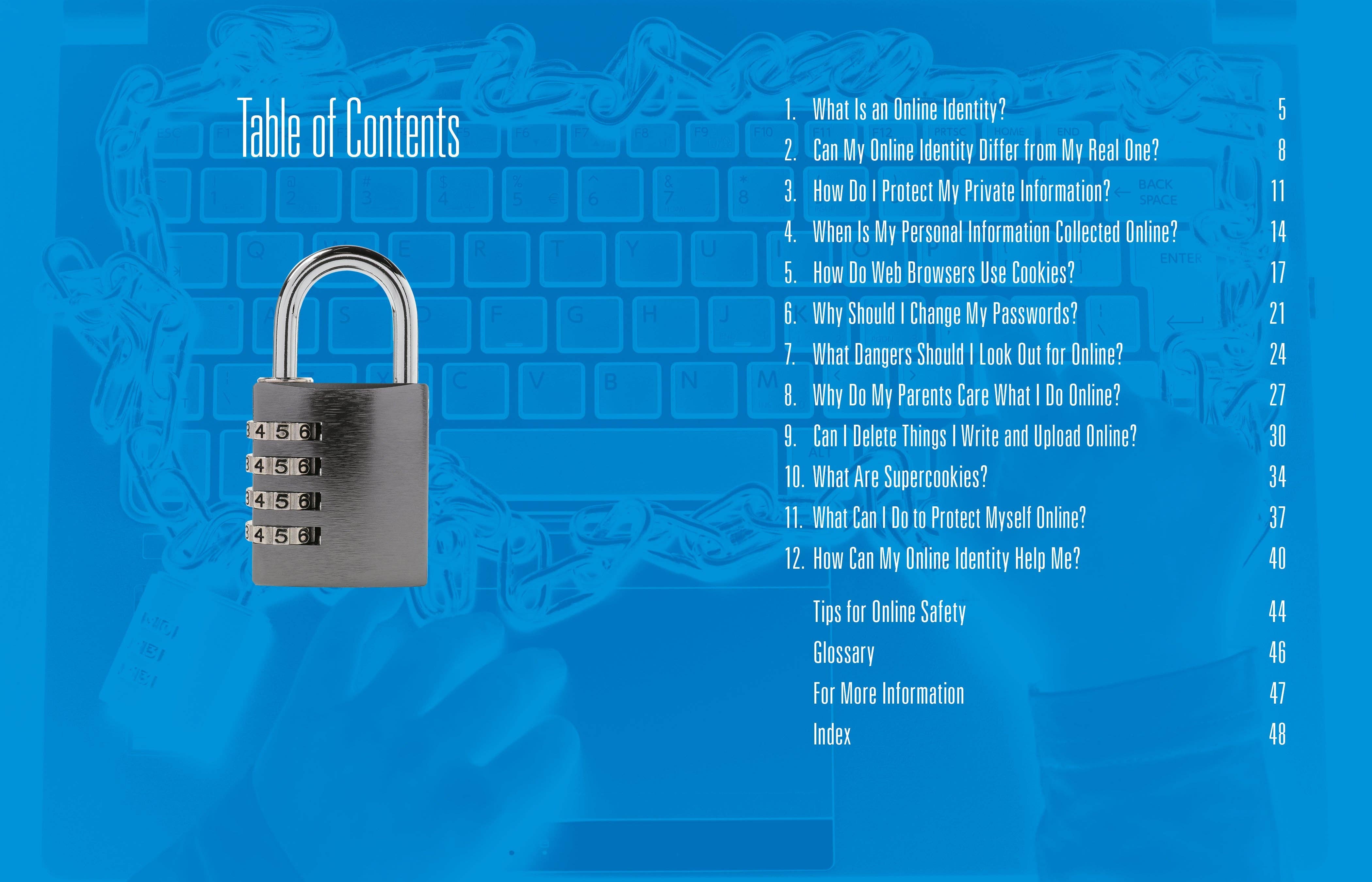 Black Rabbit Books - Wholesale Technology & Engineering Book - 12 Questions about Online Identity and Privacy1