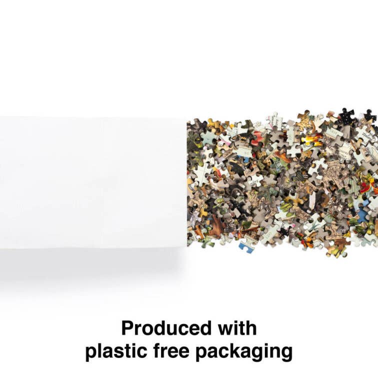 Abrams - Wholesale Puzzle - Adult - The Voyage of HMS Beagle2