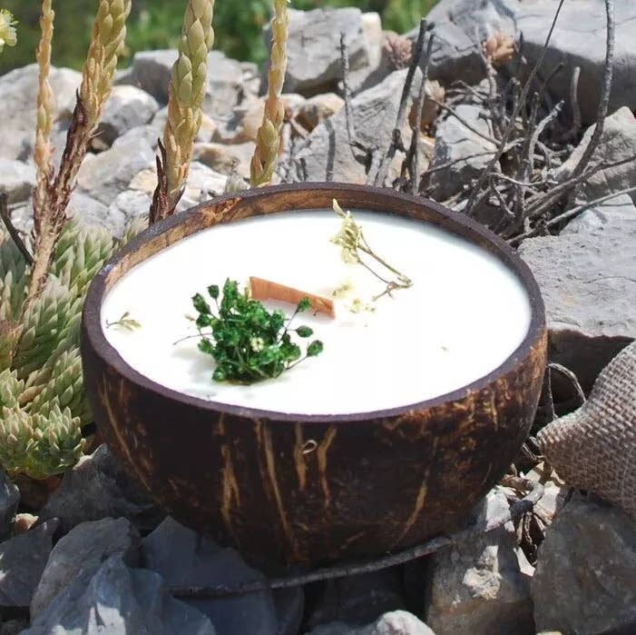 LUMINANTE - Wholesale Jar/Filled Candle - The candle that becomes a Verbena-Mint plant "coco" model1