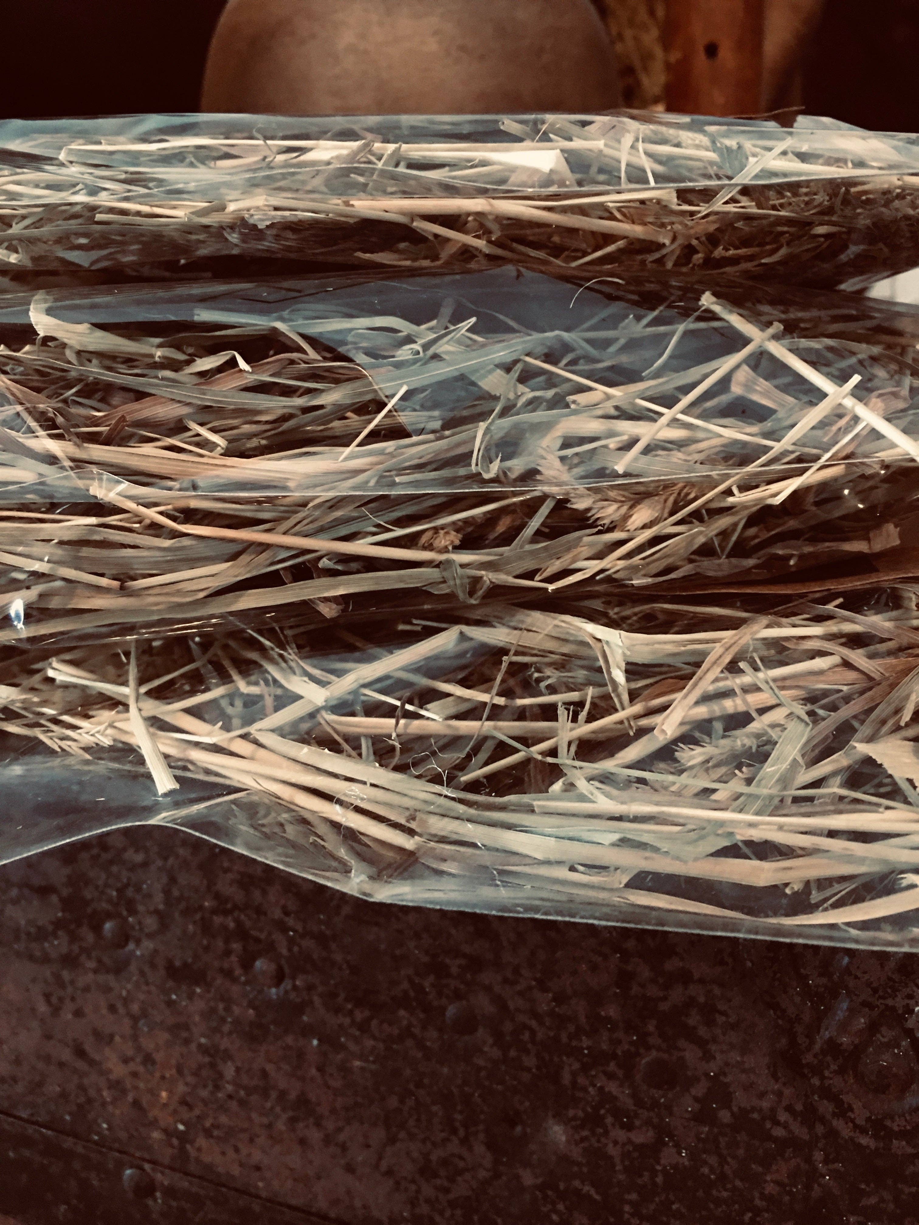 The Cranberry Cornstalk Co. - Wholesale Decorative tabletop object - Orchard  Grass6