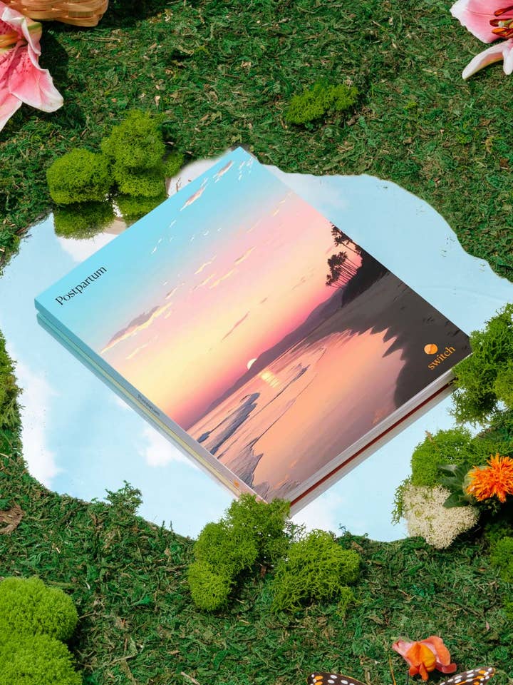 The Postpartum Journal for wholesale by Switch Research