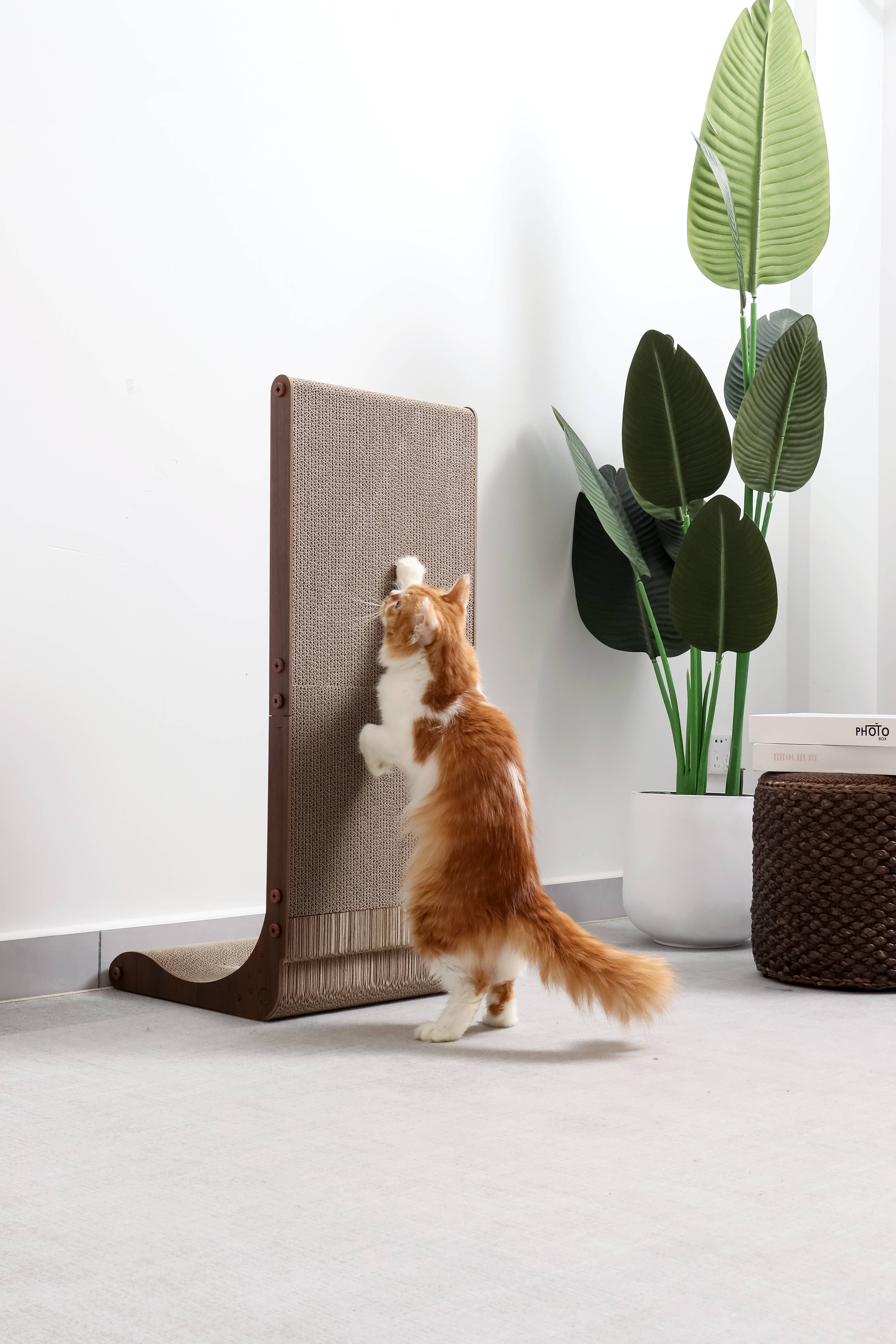 MOON-X USA, INC. - Wholesale Pet Scratcher - Cat - Premium Comfort Scatcher Wall 11