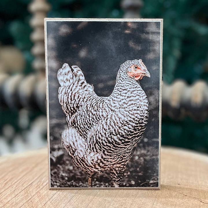 Bloc Spartacus RIG216A pour la vente par JanMichaels Art & Home