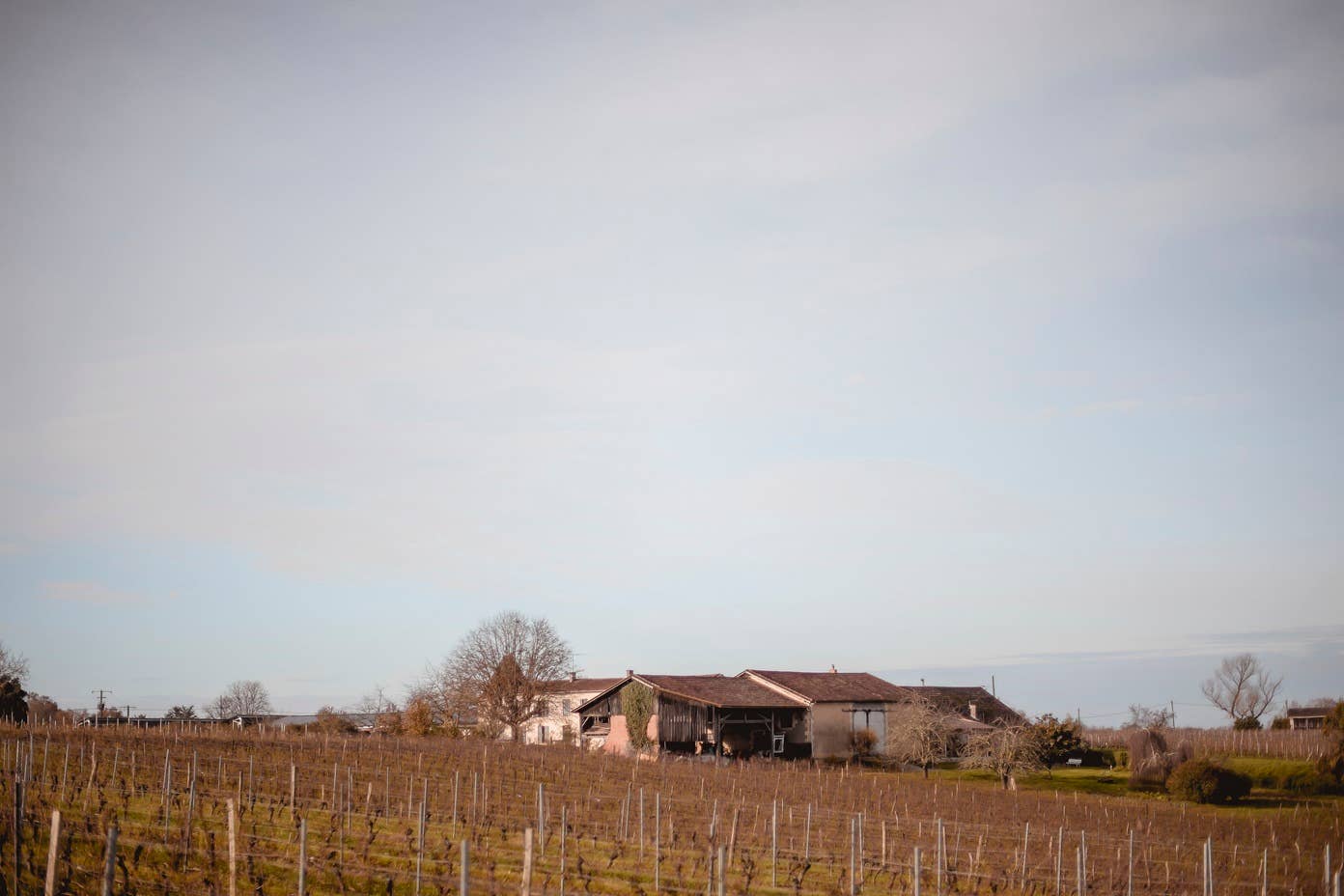 Château de Cranne – wholesale Rött vin – Ekologiskt rödvin Malbec "Astéries" 2022 med vax4