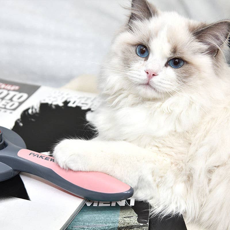 VIGOR - Vente Outil de toilettage – chien - Peigne autonettoyant pour poils d'animaux avec brosse automatique2