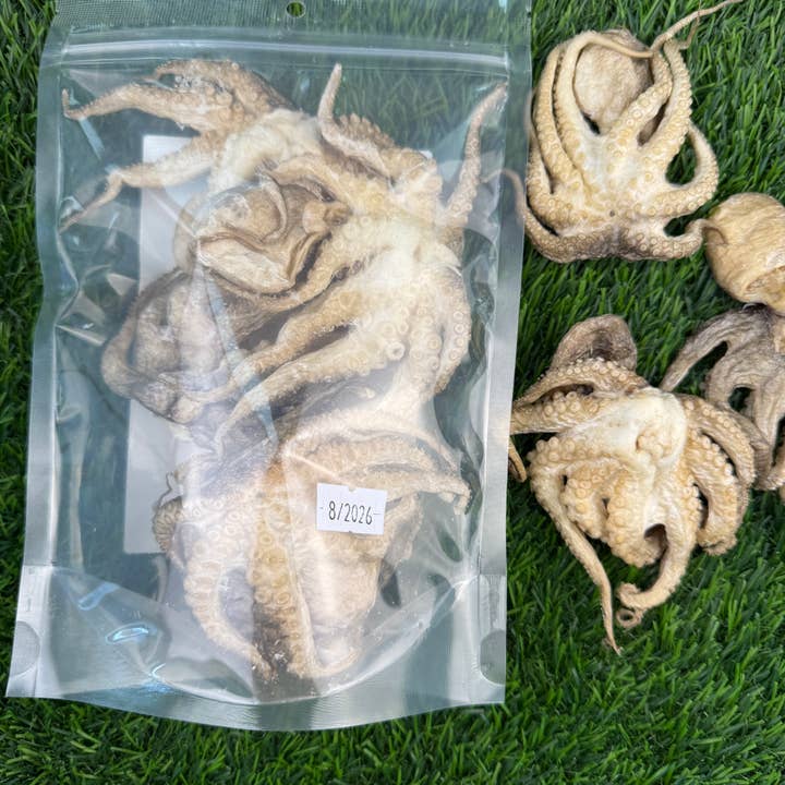 Golden Nibbles - Wholesale Pet Treats - Dog - Baby Octopus - Bag of 5 - Freeze Dried Treats for Dogs & Cat5