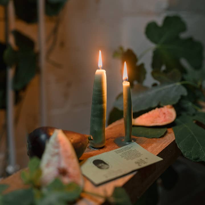 Antevasin´s Store – wholesale Marschaller – Mörkgrönt fikonblad ritualljus (grön magi) 40gr x 13cm