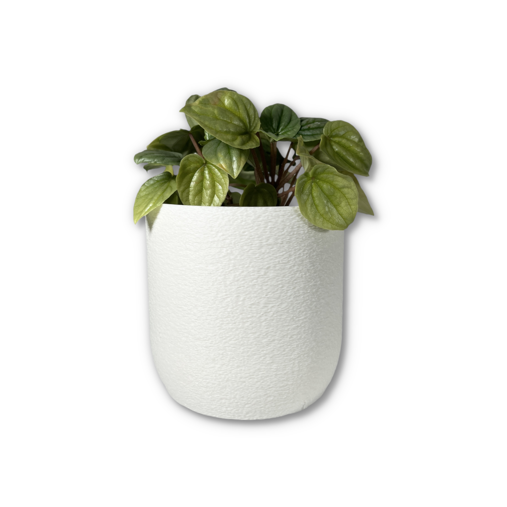 Leafprints.3d - Wholesale Plant Pot - The Moss – 4 Inch Cover Pot (No Drainage)5