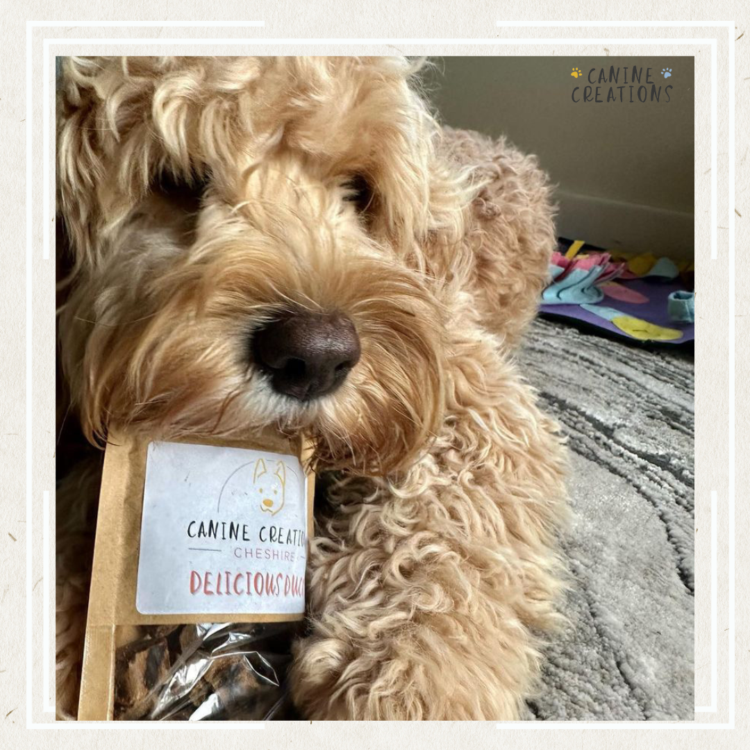 Canine Creations Cheshire – wholesale Pet treats – Dog – Delicious Duck1