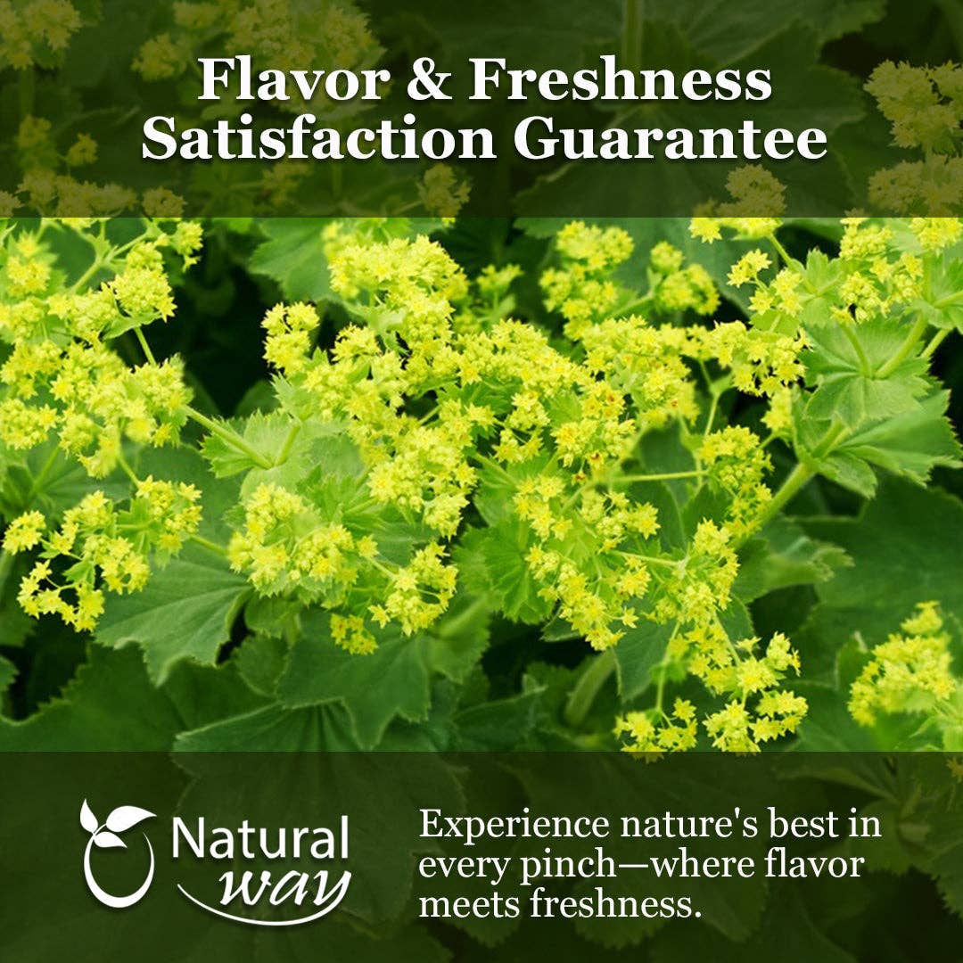 Organic Way LLC – wholesale Herbs – Natural Lady's Mantle Herb Cut & Sifted3