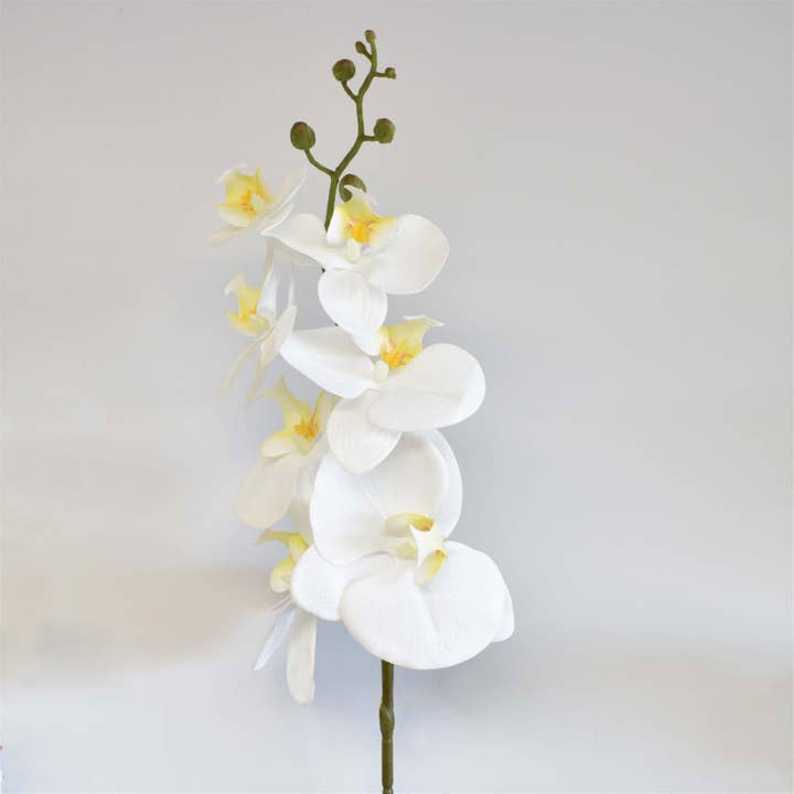 David Christopher's Collection - Wholesale Artificial Flowers - 33” Phalaenopsis Spray1