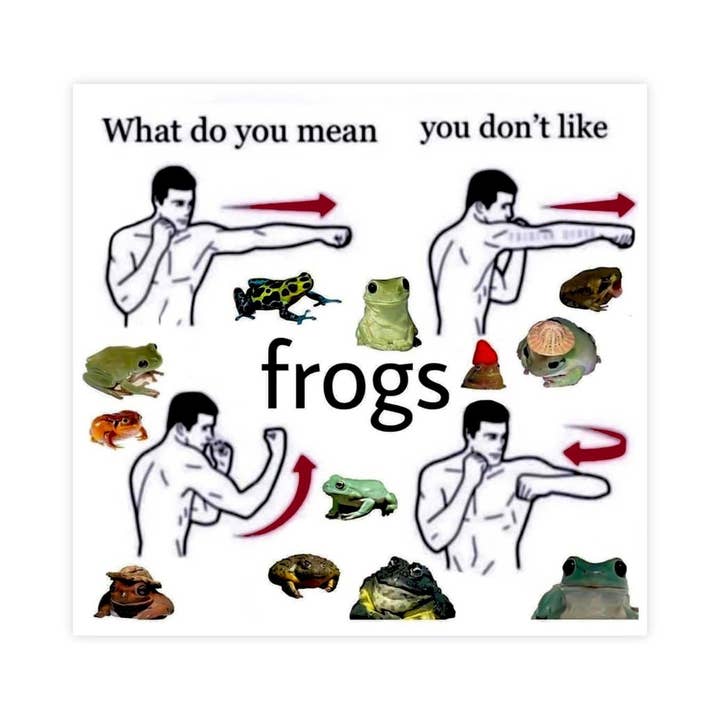 What Do You Mean You Don't Like Frogs Meme Sticker for wholesale by Sticker Bull