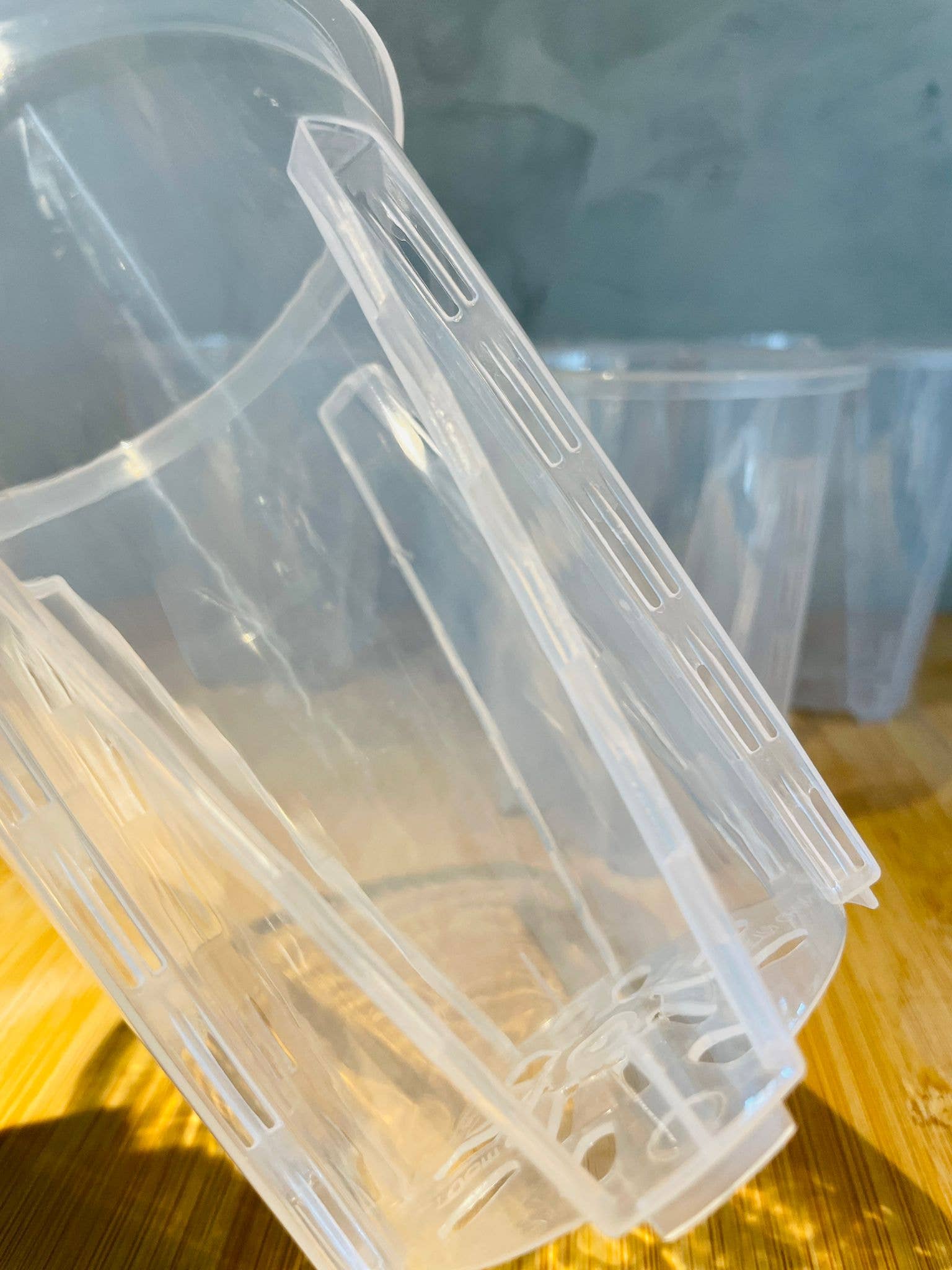 Coco and Palm Trees - Wholesale Plant Pot - Clear Nursery Pot 4"2