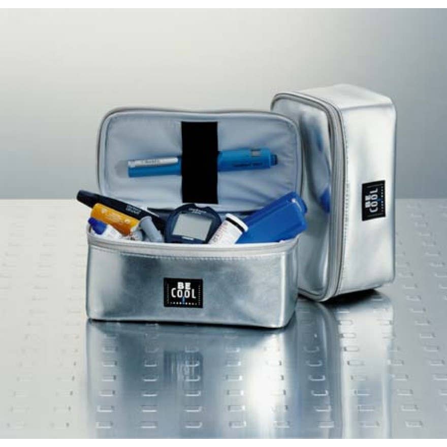 BE Cool Kühltaschen - Wholesale Cooler/Cooler Bag - Case Silver0