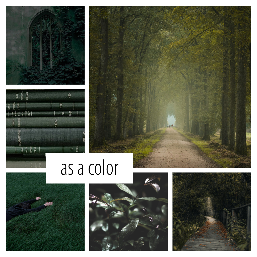 REMOVED BRAND - Wholesale Jar/Filled Candle - Dark Academia- a bookish inspired soy candle4