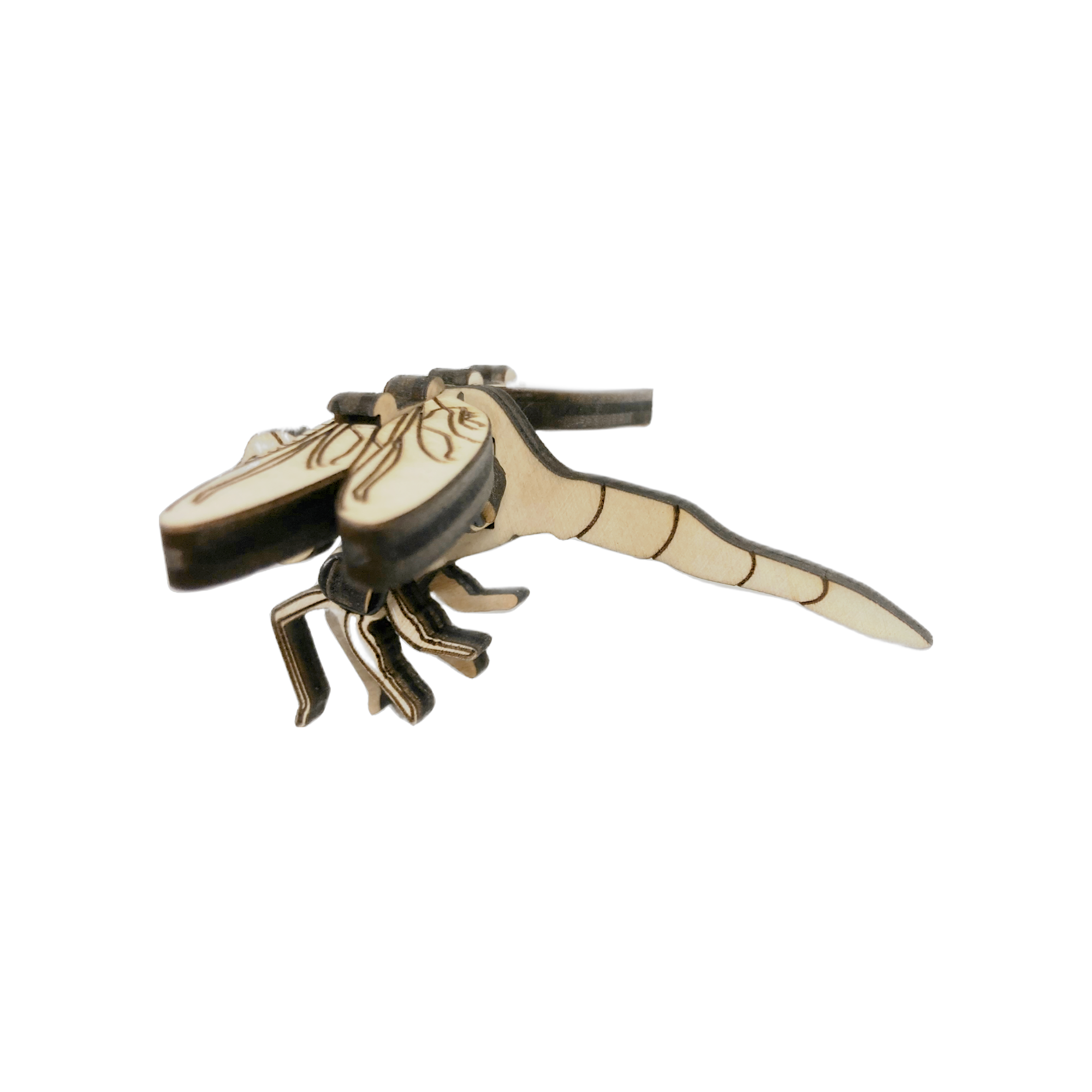 Zootility - Wholesale Puzzle - Kids - Loopets Puzzle Toy - Insects4