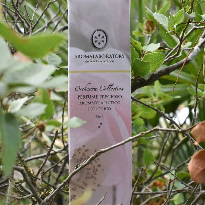 KING. Aromatherapy Clean Perfume. Organic. 55ml. and other Purchase Wholesale nombre para belleza. Free Returns & Net 60 Terms on Faire trending on Faire.