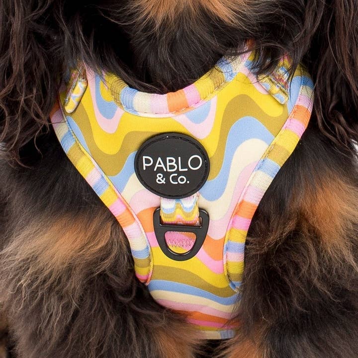 Boho Waves: Adjustable Dog Harness for wholesale by Pablo & Co. Boutique