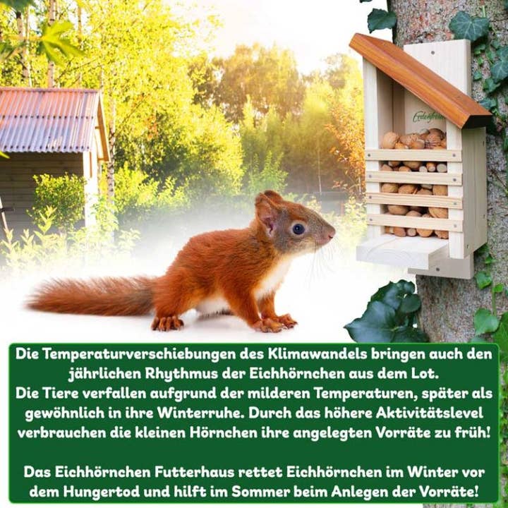 Erdenfreund – Großhandel Vogelfutterspender – ERDENFREUND® Eichhörnchen Futterhaus