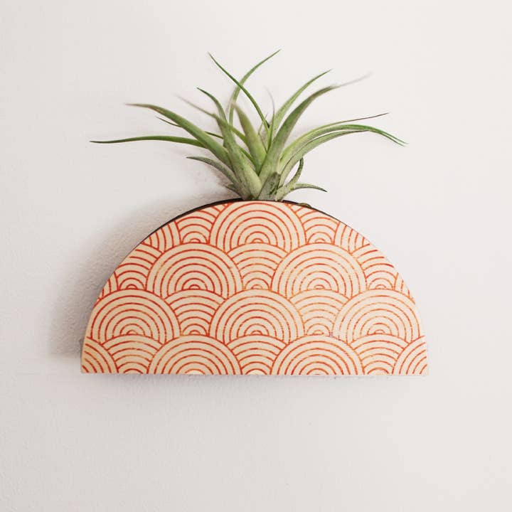 Stacy Wong - Wholesale Wall Planter - Mod Curves Dome Wall Planter Vase