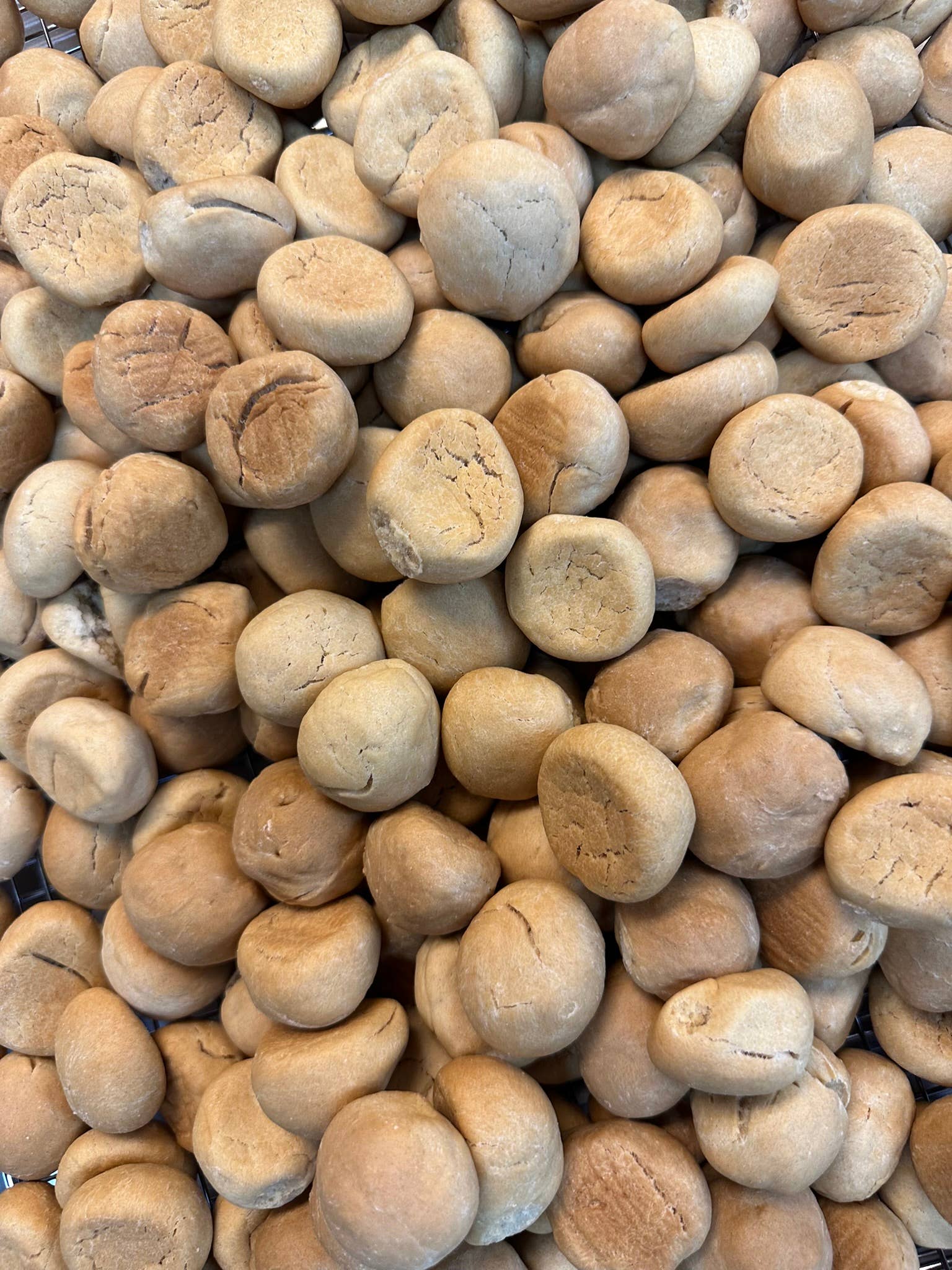 Moonlight Cracker Company - Wholesale Crackers - 1 - 9 oz (approx) Bag of Original Style Oyster Crackers (24 crackers)1