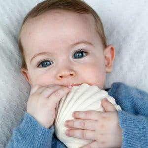 WHITE TEETHER SHELL FOR BABIES for wholesale on Faire2