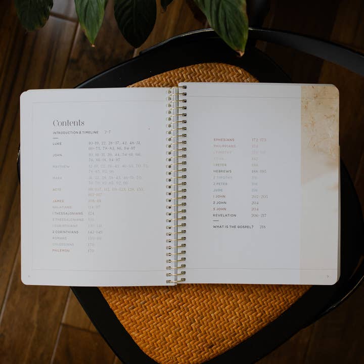 The Daily Grace Co - Wholesale Religion - Eden to Eternity | The Chronological Story of Scripture | Volume 4 (Spiral Bound)1