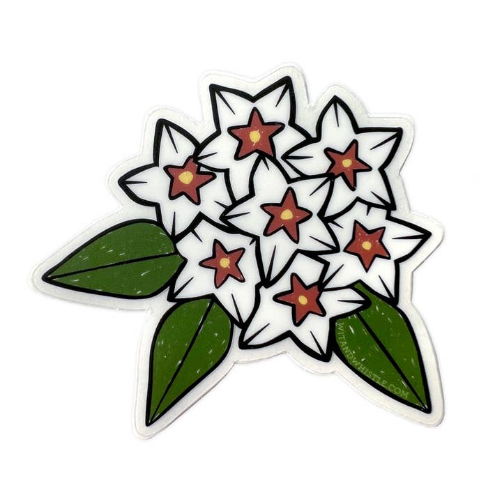 Autocollant - Hoya Bella pour la vente par Wit & Whistle