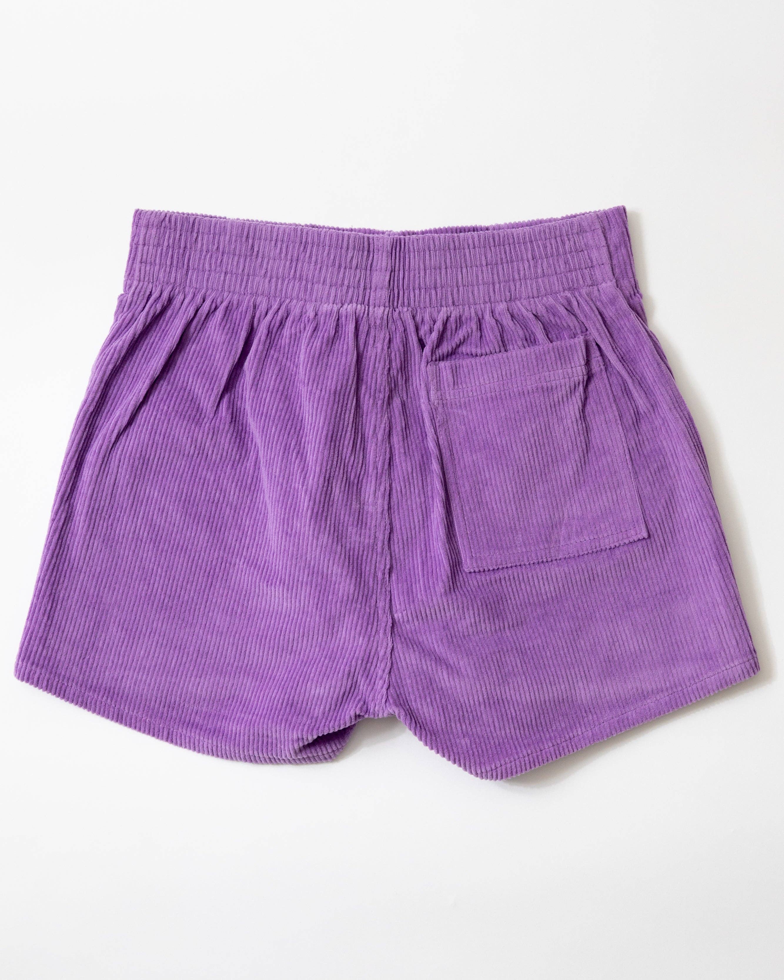 Hammies - Wholesale Shorts - Women's - Women's Short (Purple)5