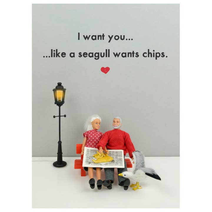 Seagull Chips for wholesale by Bold & Bright