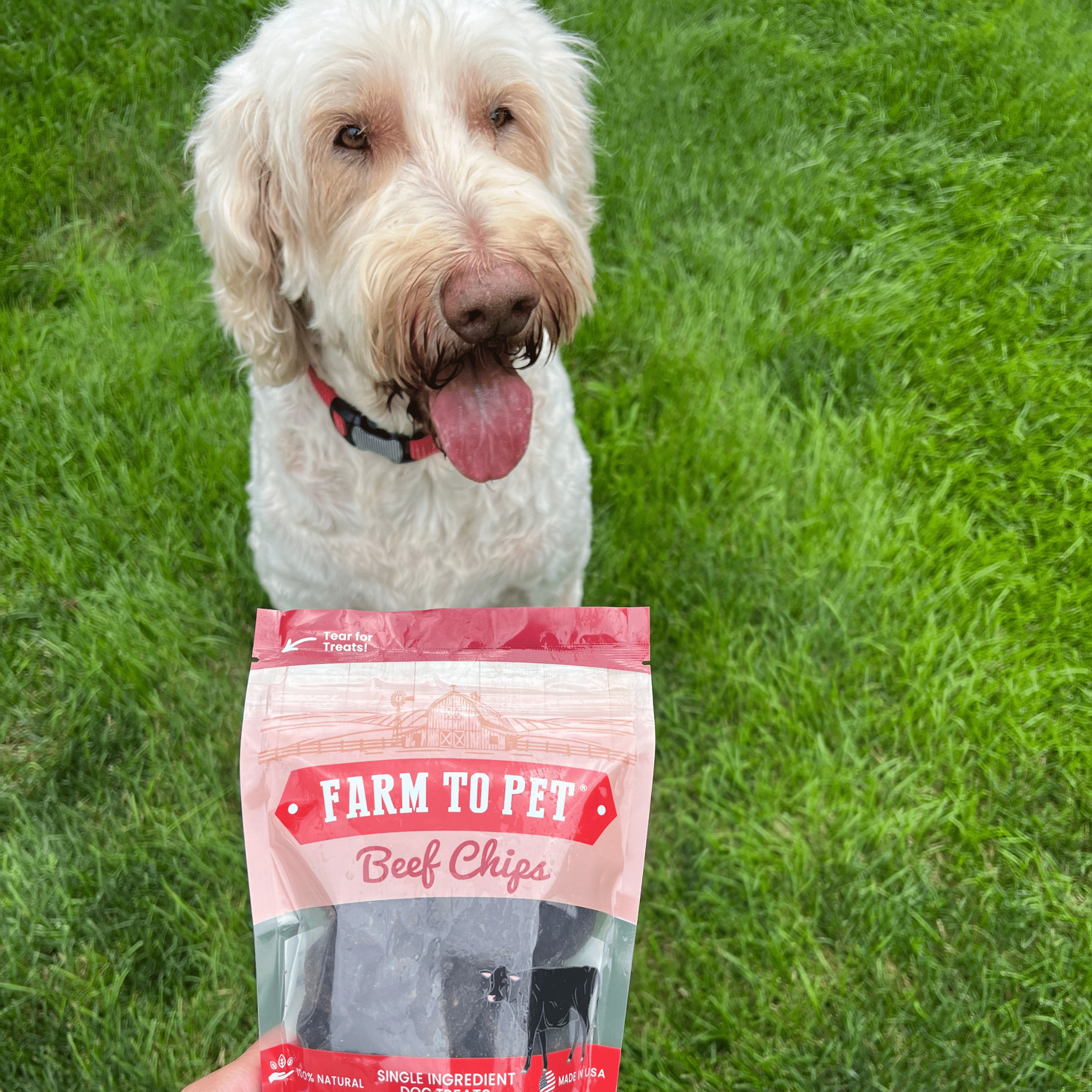 Farm to Pet Healthy Treats for Dogs & Cats - Wholesale Pet Treats - Dog - Beef Chips Dog Treats2