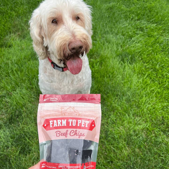 Farm to Pet Healthy Treats for Dogs & Cats - Wholesale Pet Treats - Dog - Beef Chips Dog Treats2